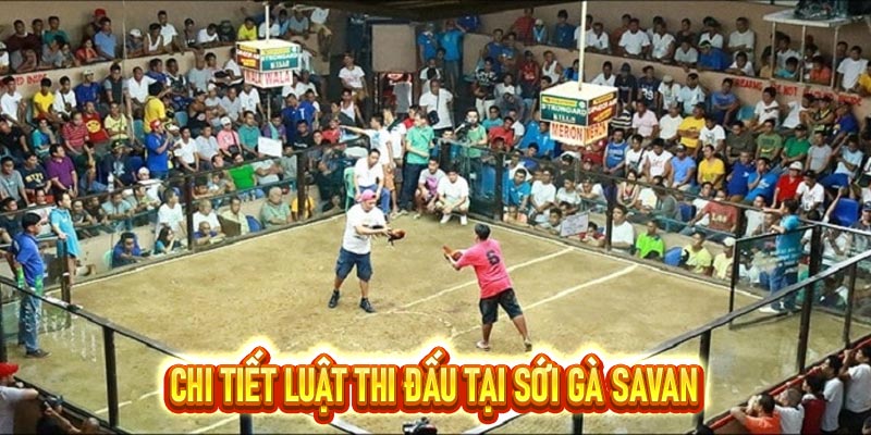 sới gà Savan
