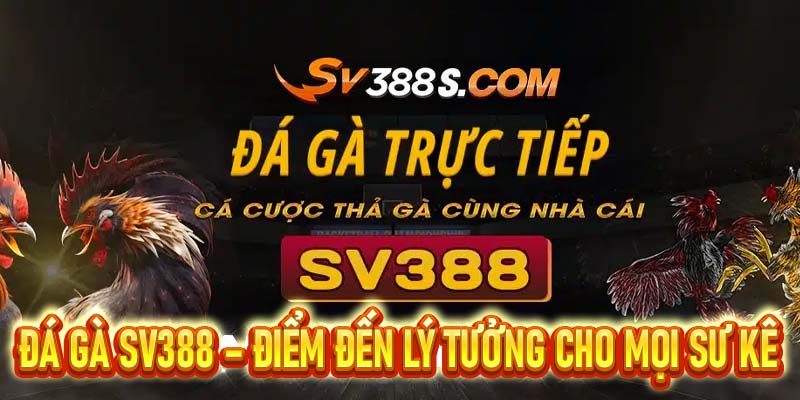 Đá Gà SV388