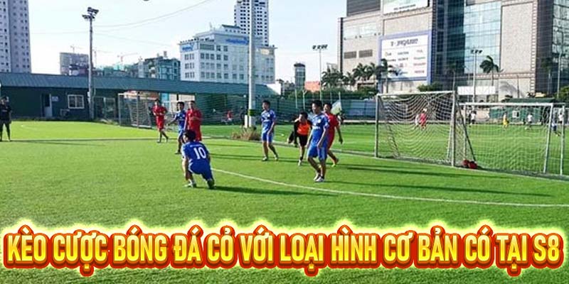 Bóng Đá Cỏ