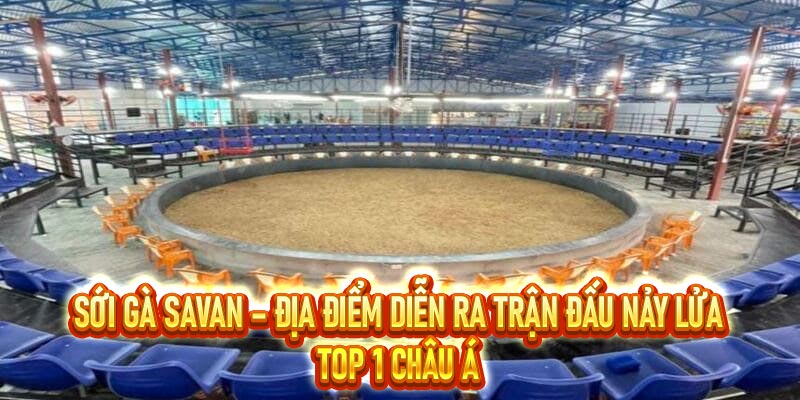 Sới gà Savan
